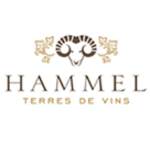 MAISON HAMMEL SA, Rolle